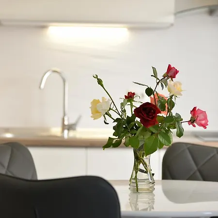 Benelux Apartment